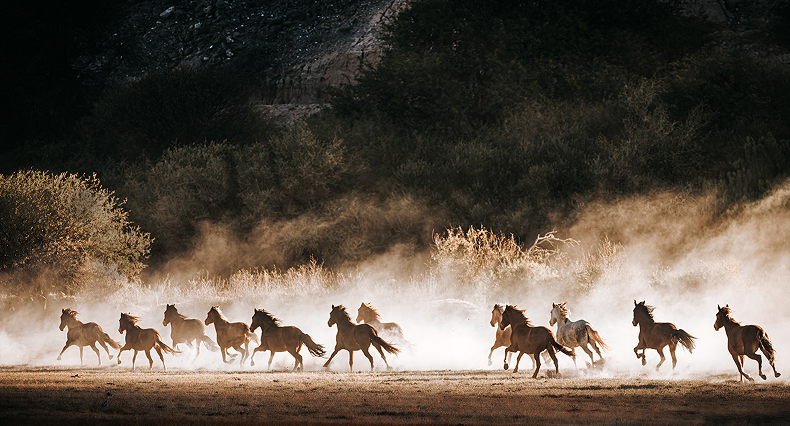 Art photographs · OLIVIER FOLLMI · Photographer · YellowKorner