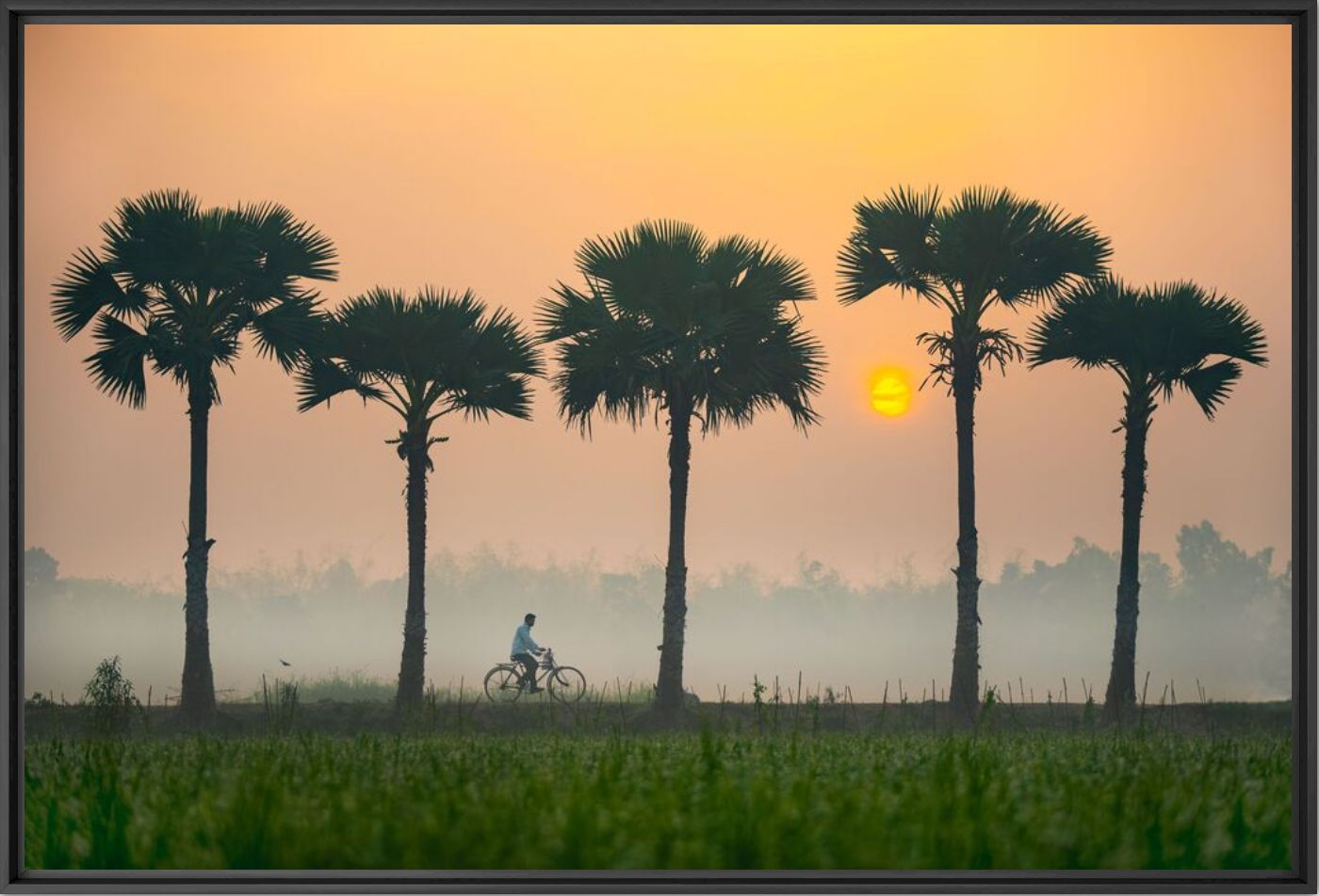 A winter morning - Abdul MOMIN - Fotograf&iacute;a