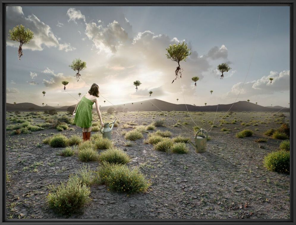 Des Racines Et Des Ailes - ALASTAIR MAGNALDO - Photographie