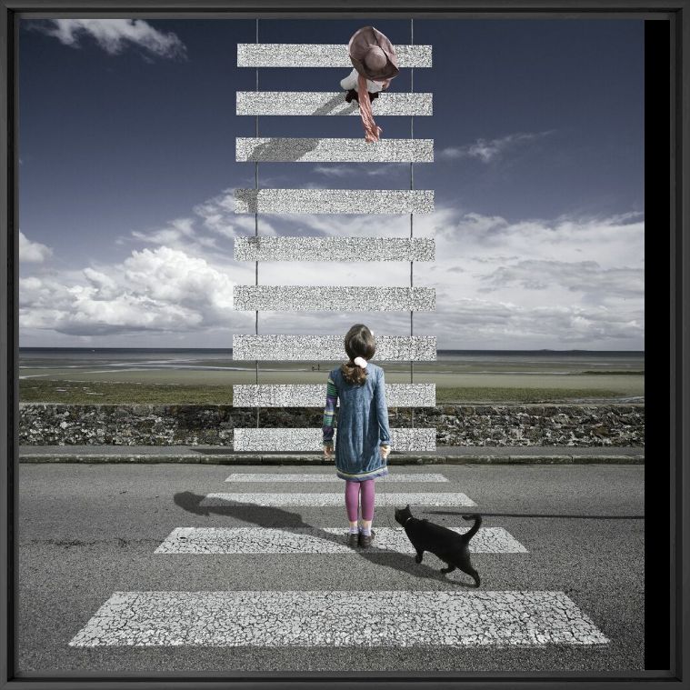 Le z&egrave;bre - ALASTAIR MAGNALDO - Photographie