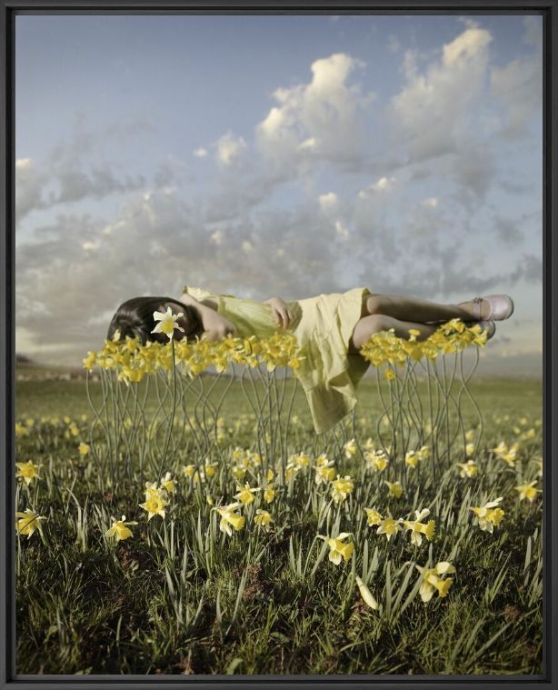 Yellowbud - ALASTAIR MAGNALDO - Photographie
