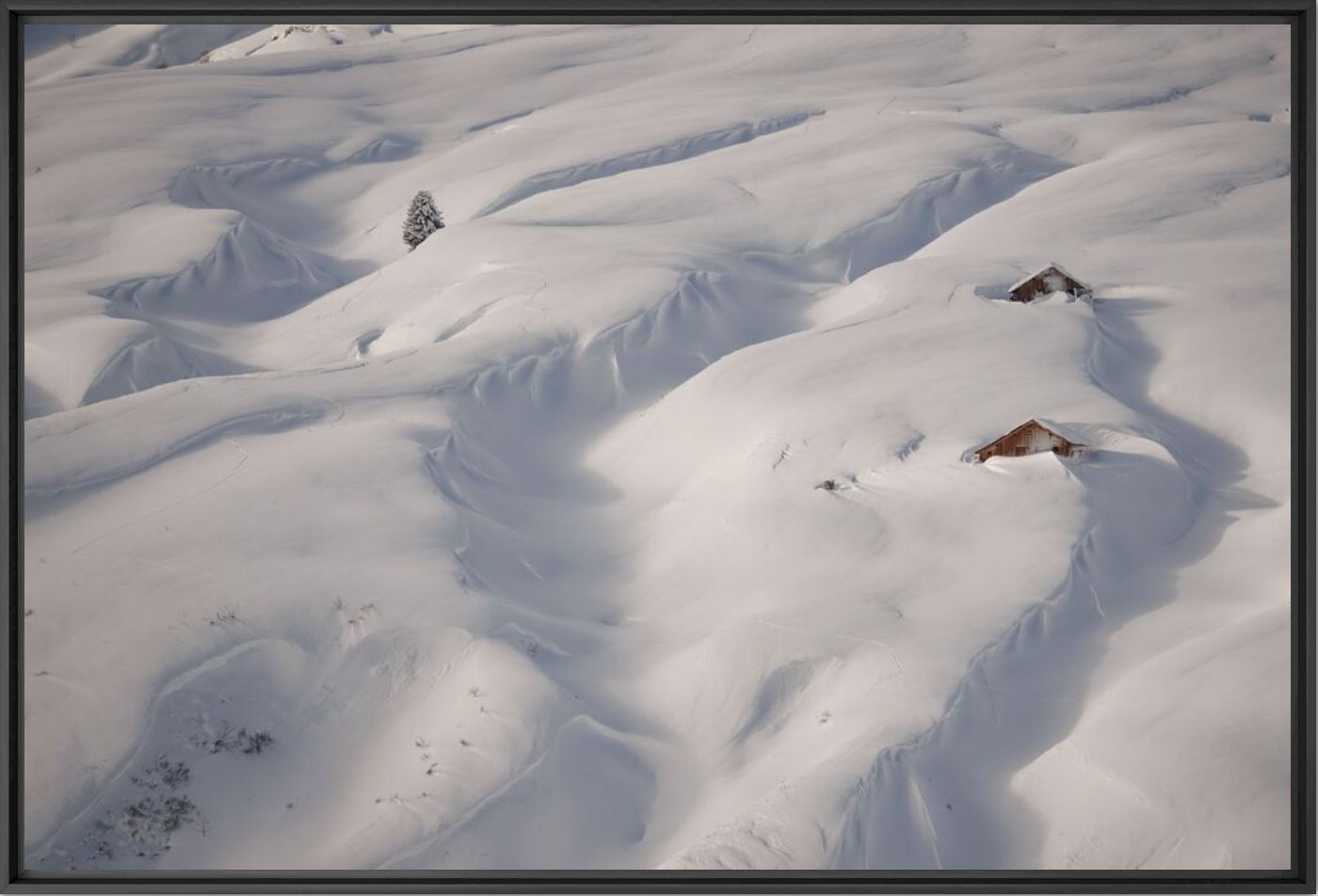 Repos hivernal - ALEXANDRE DESCHAUMES - Photographie