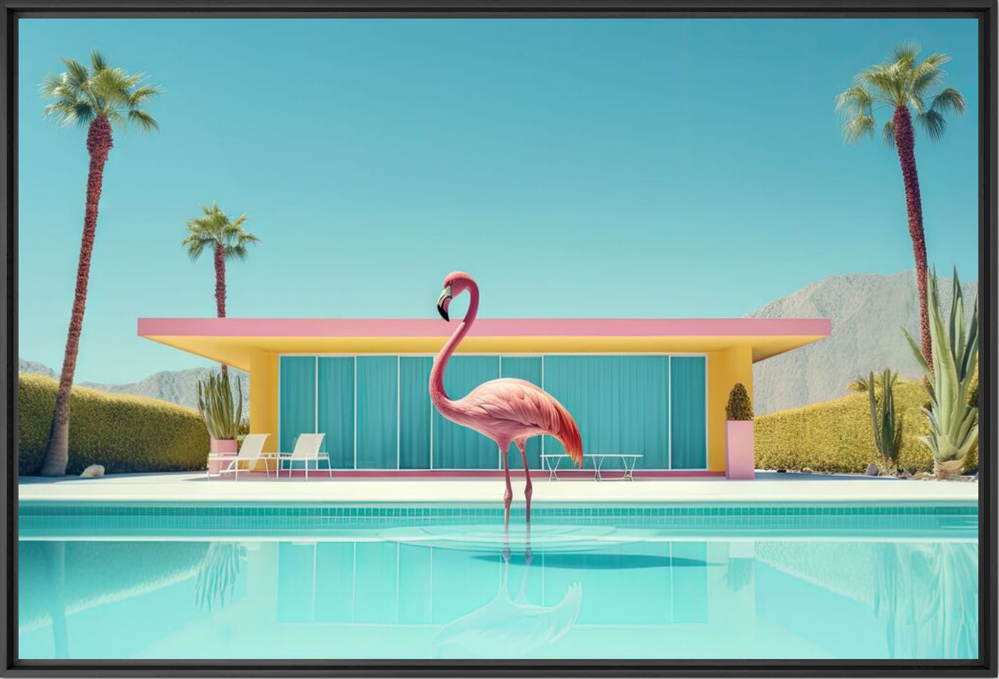 Flamingo by the pool - Alexandre FAUVE - Photograph