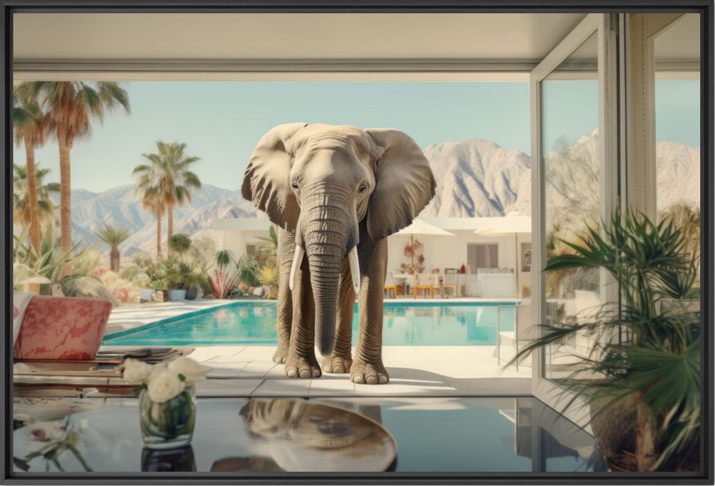 Jungle house - Alexandre FAUVE - Fotografie