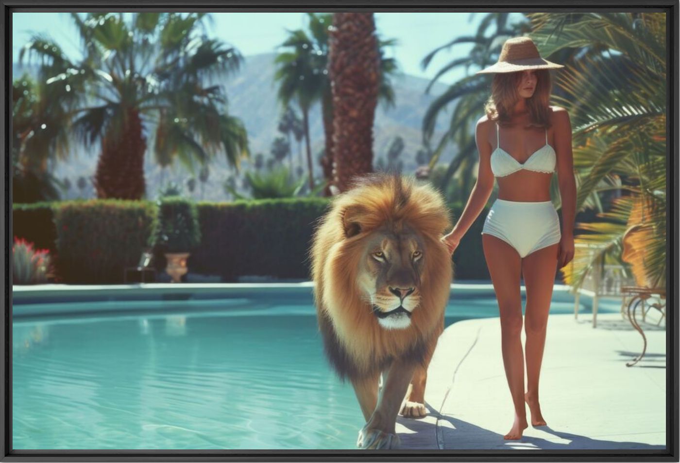 My king lion - Alexandre FAUVE - Fotografie