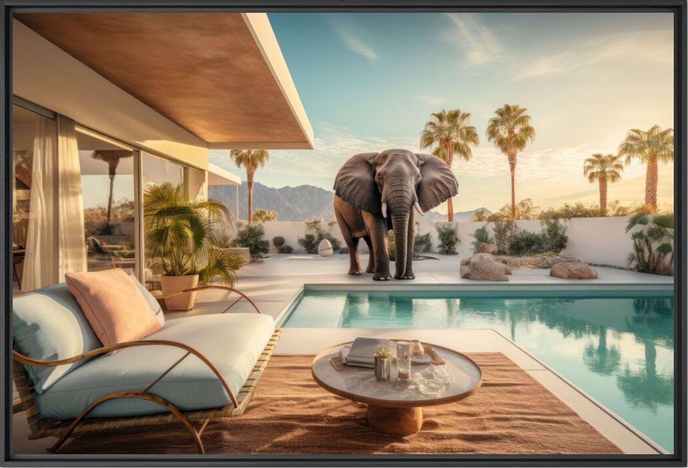 Palm springs sunset - Alexandre FAUVE - Fotografie