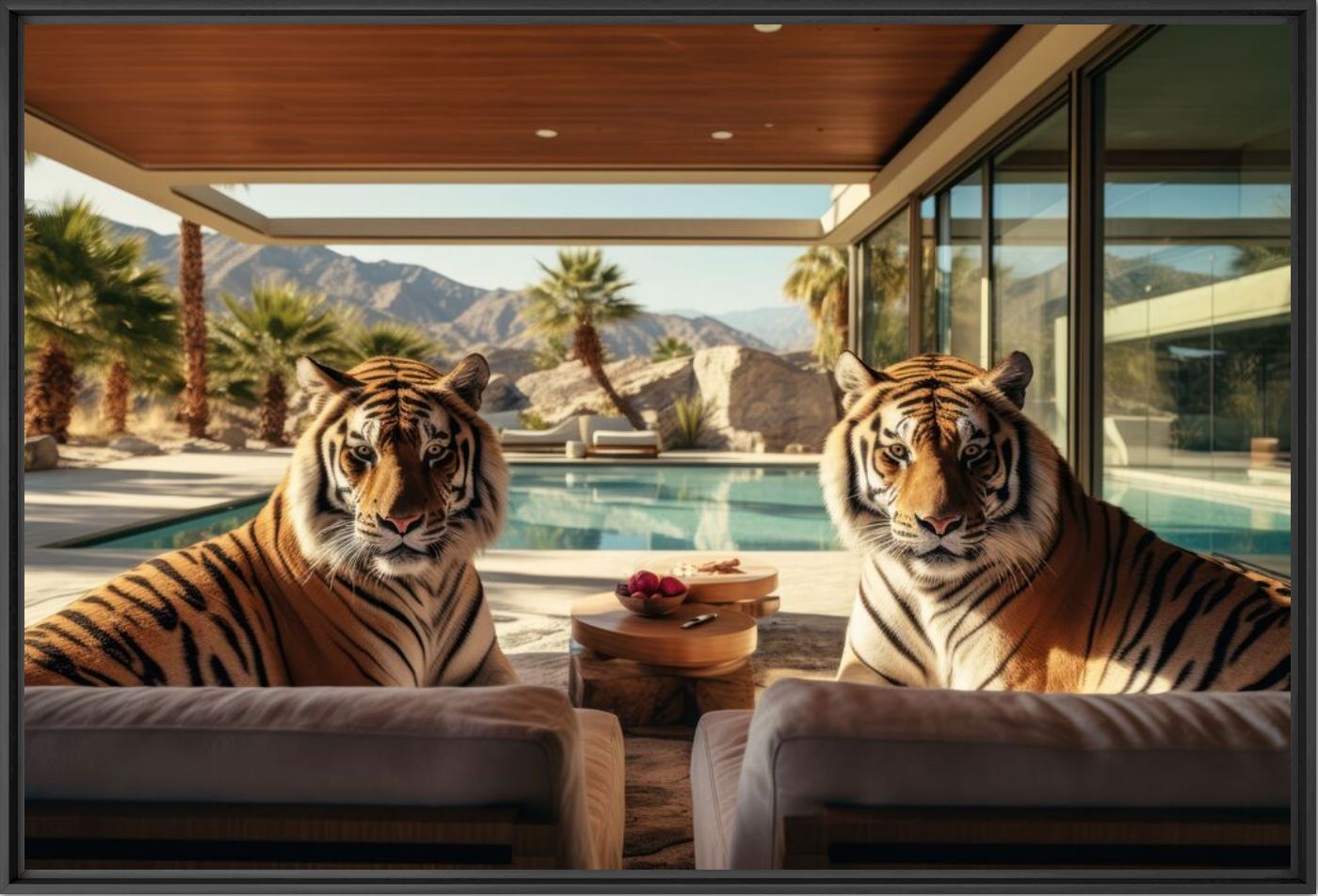 Sweet home - Alexandre FAUVE - Fotografie
