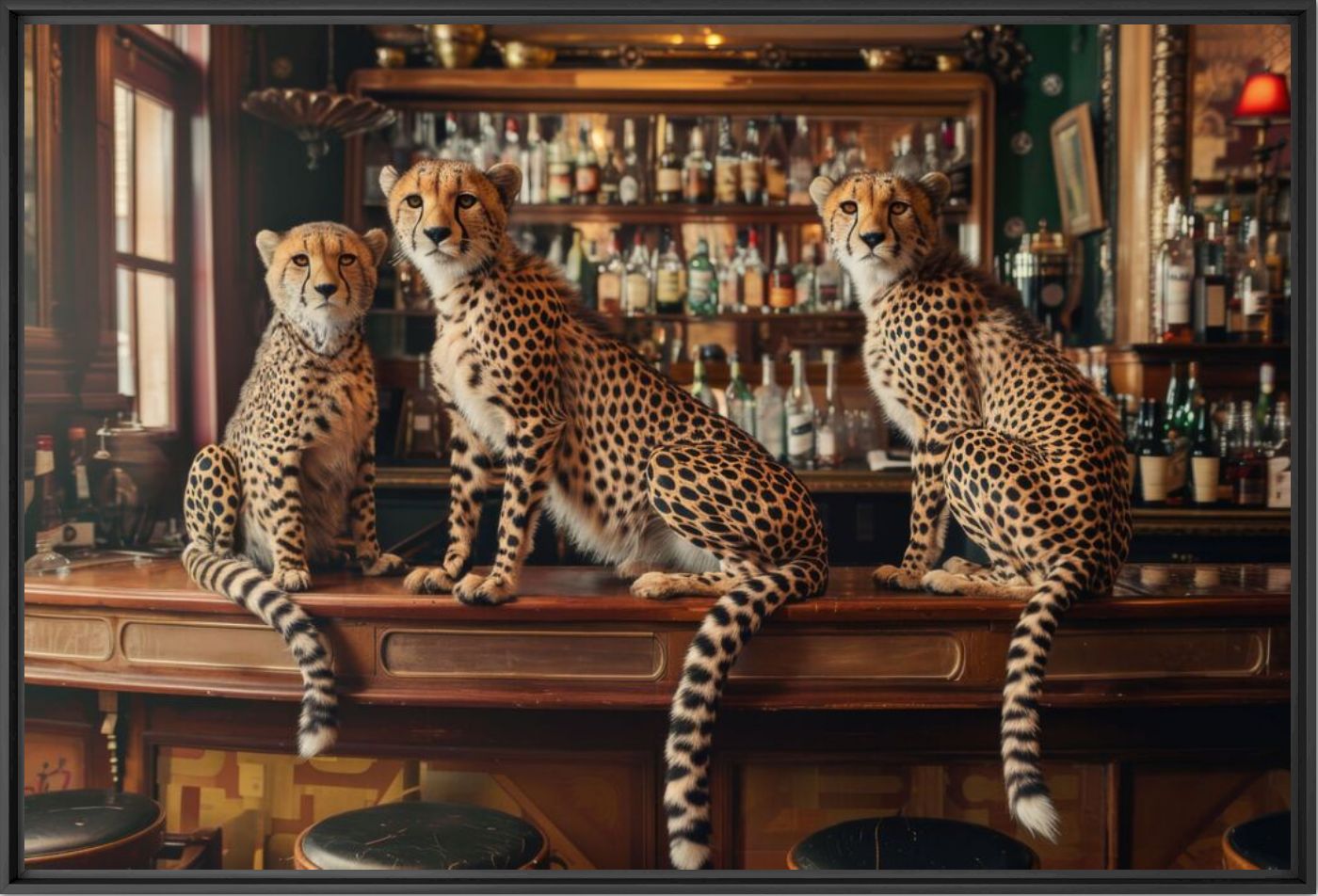Wild night out - Alexandre FAUVE - Fotografie