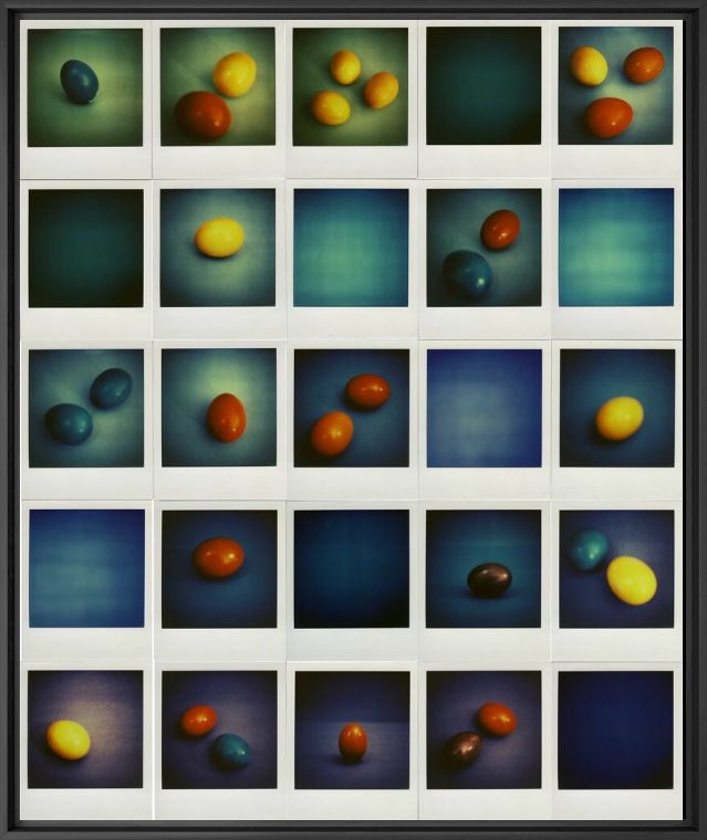 EGGS - ANDREA EHRENREICH - Photographie