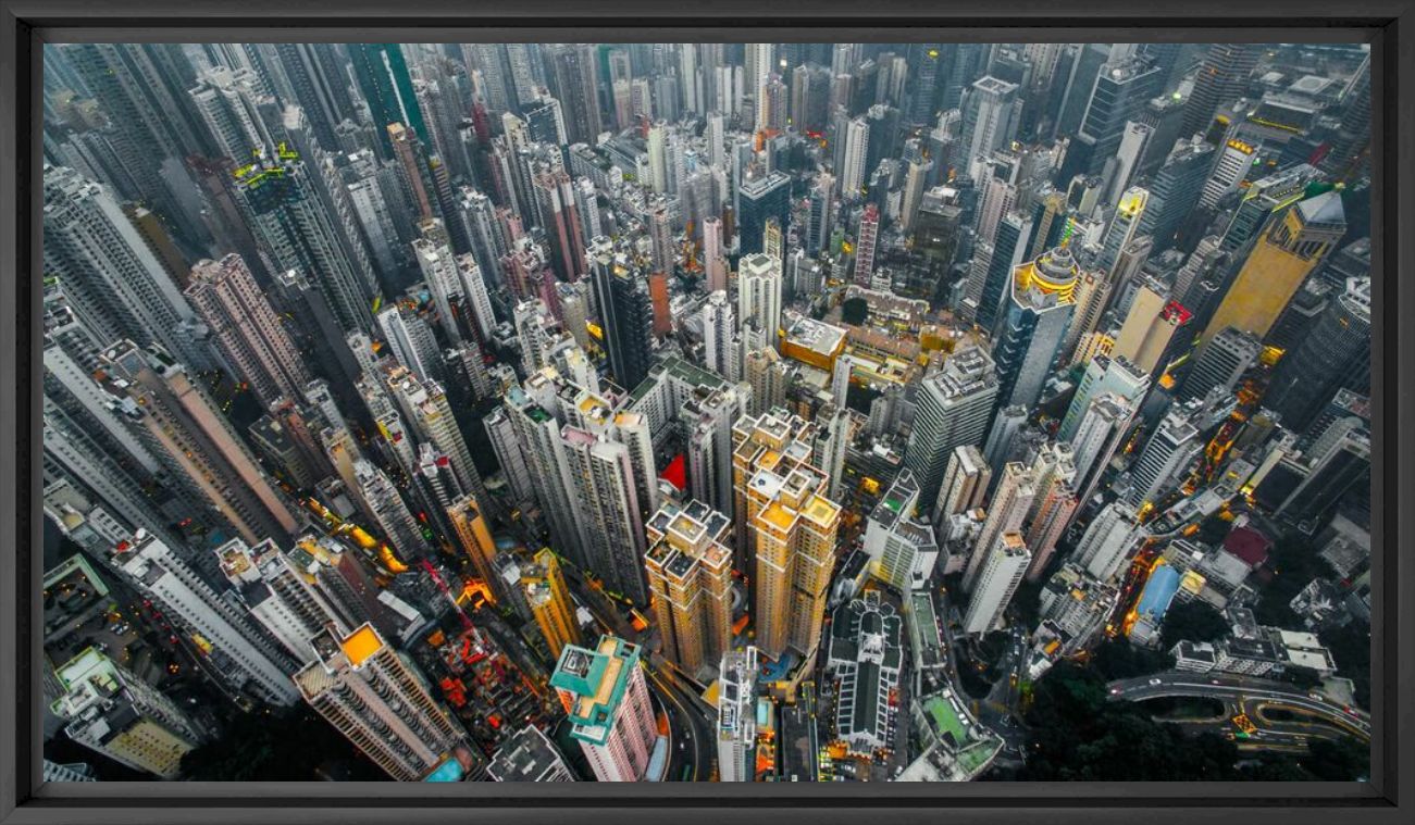 Urban jungle 01 - ANDY YEUNG - Photograph