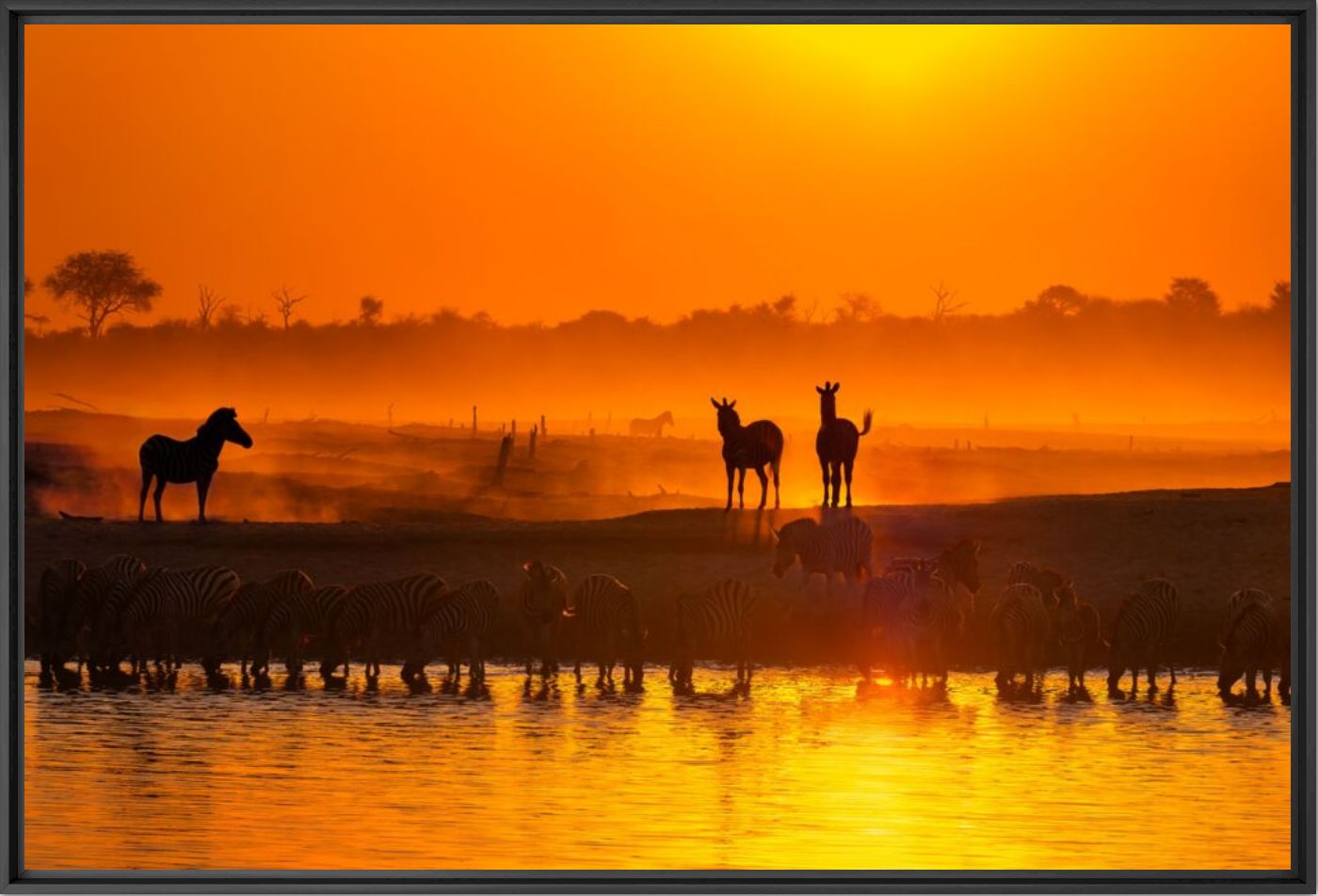 Golden gathering - Anette Mossbacher - Photographie