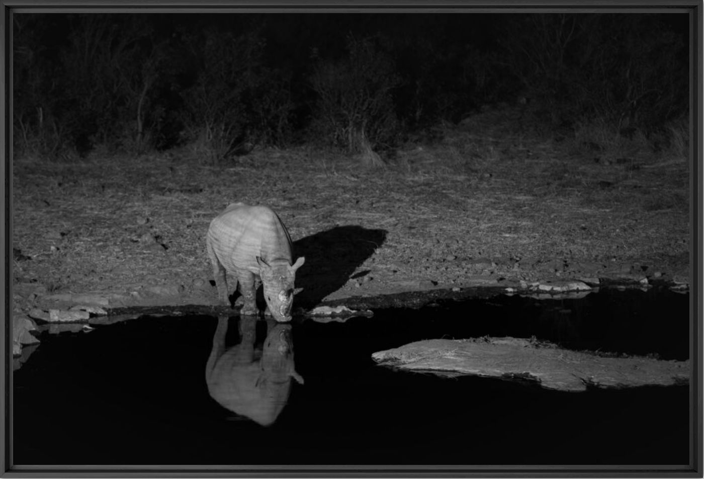 Night watch - Anette Mossbacher - Photographie
