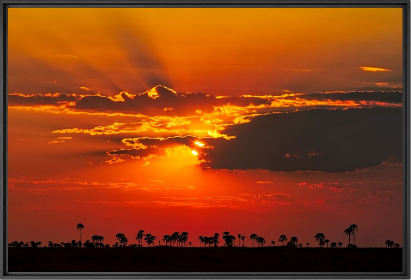 Savannah fire - Anette Mossbacher - Photographie