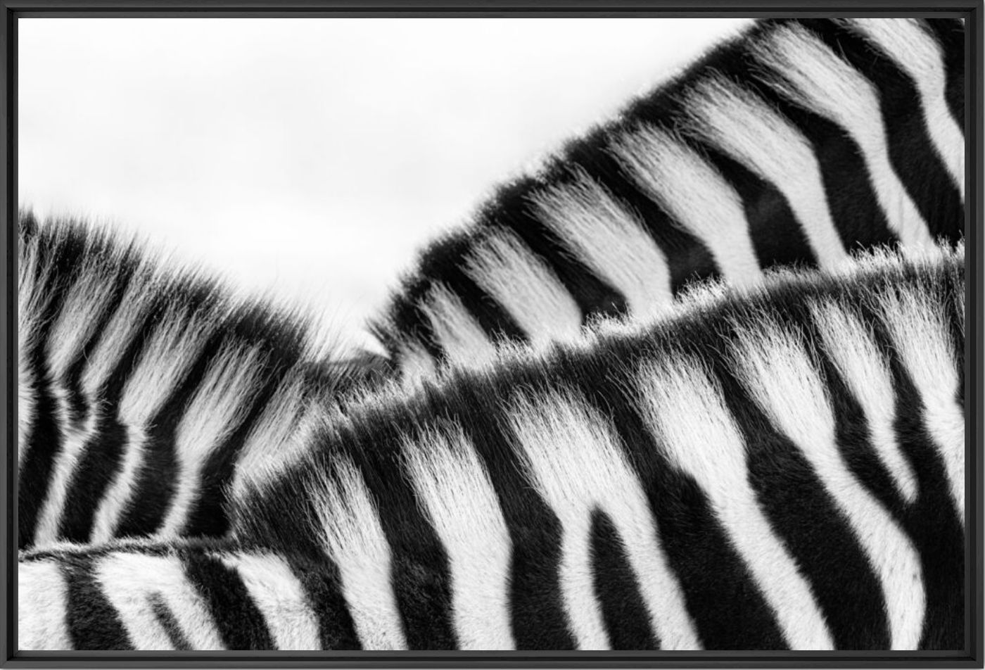 Stripe rhythm - Anette Mossbacher - Fotograf&iacute;a