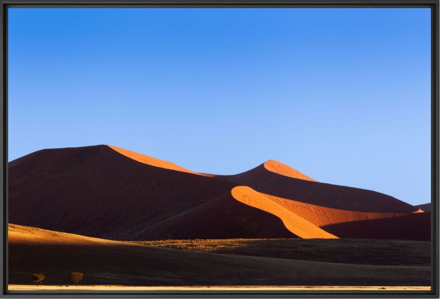 The golden curve - Anette Mossbacher - Photographie
