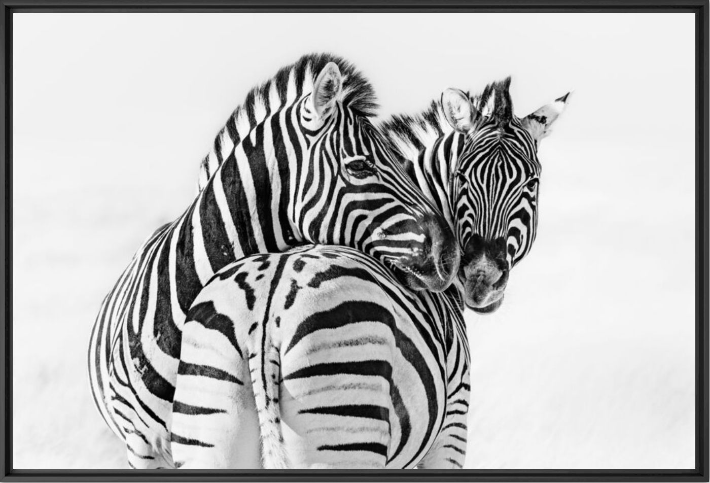 The lean - Anette Mossbacher - Photographie