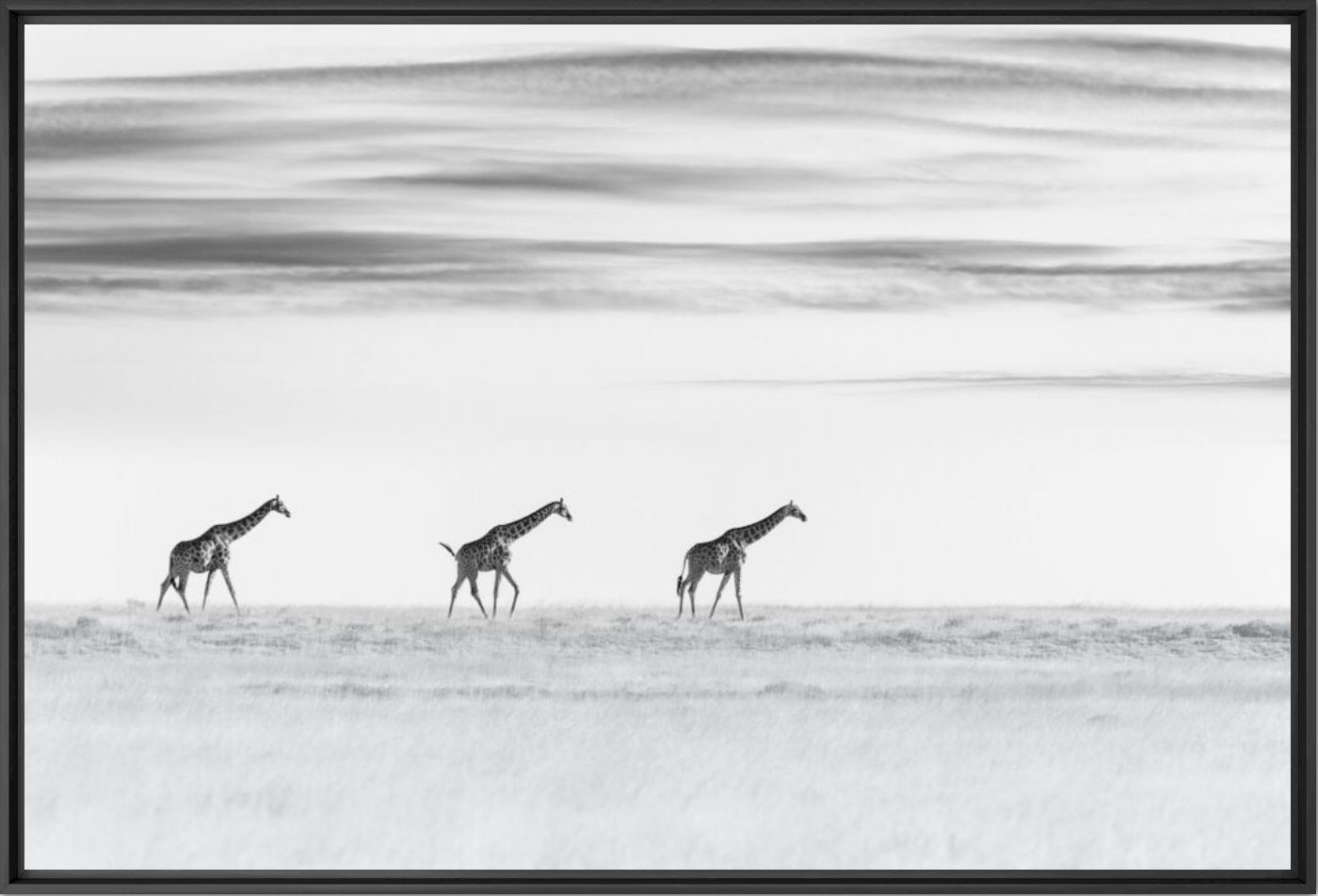 The three graces - Anette Mossbacher - Fotograf&iacute;a