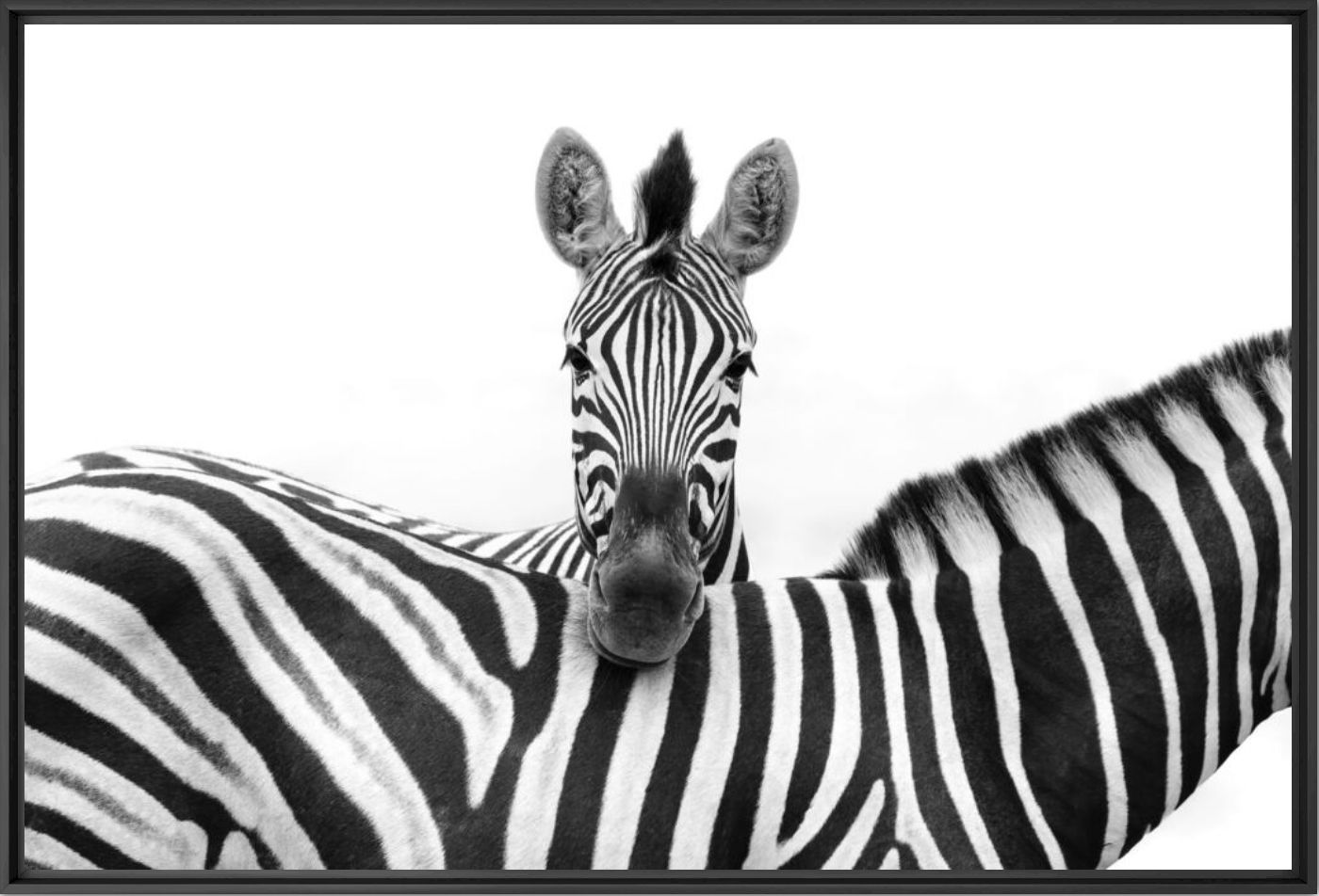 The watcher - Anette Mossbacher - Photographie
