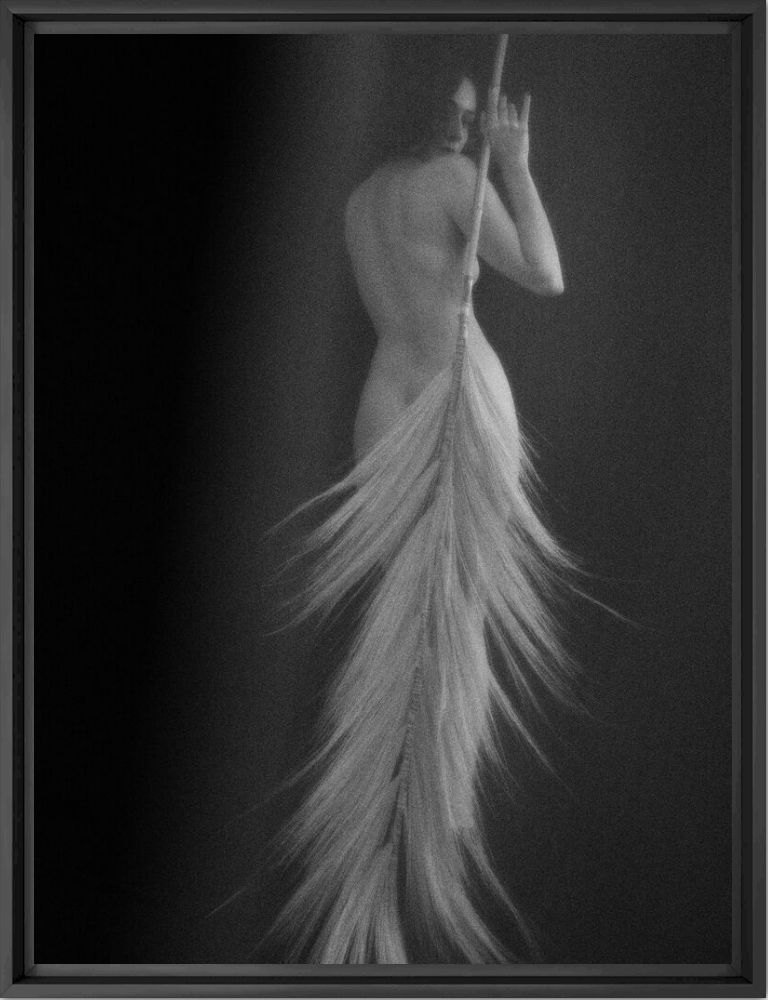 L'ombre de la plume - Armelle Gouyet - Fotografie