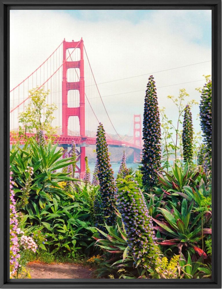 Spring at the Golden Gate - August Arena - Photograph