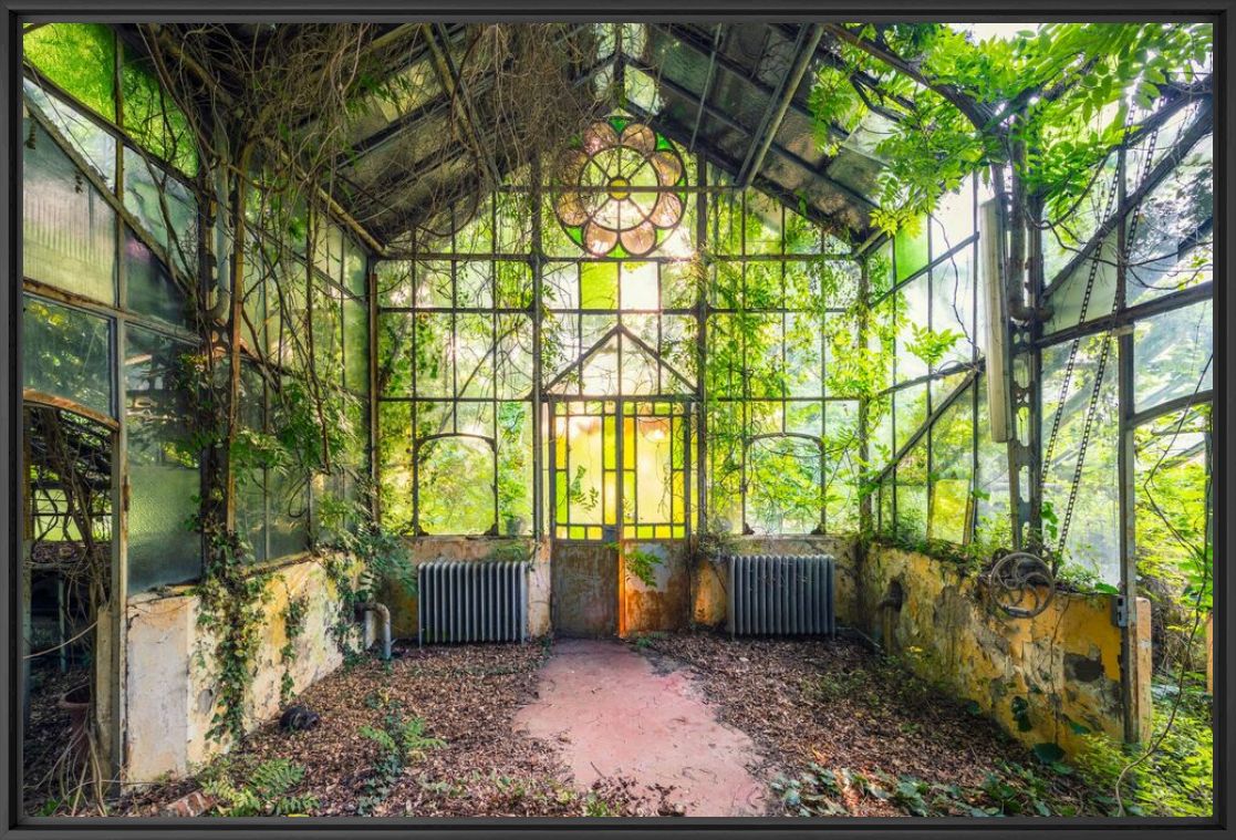 Arche v&eacute;g&eacute;tale III Italie - AURELIEN VILLETTE - Photographie