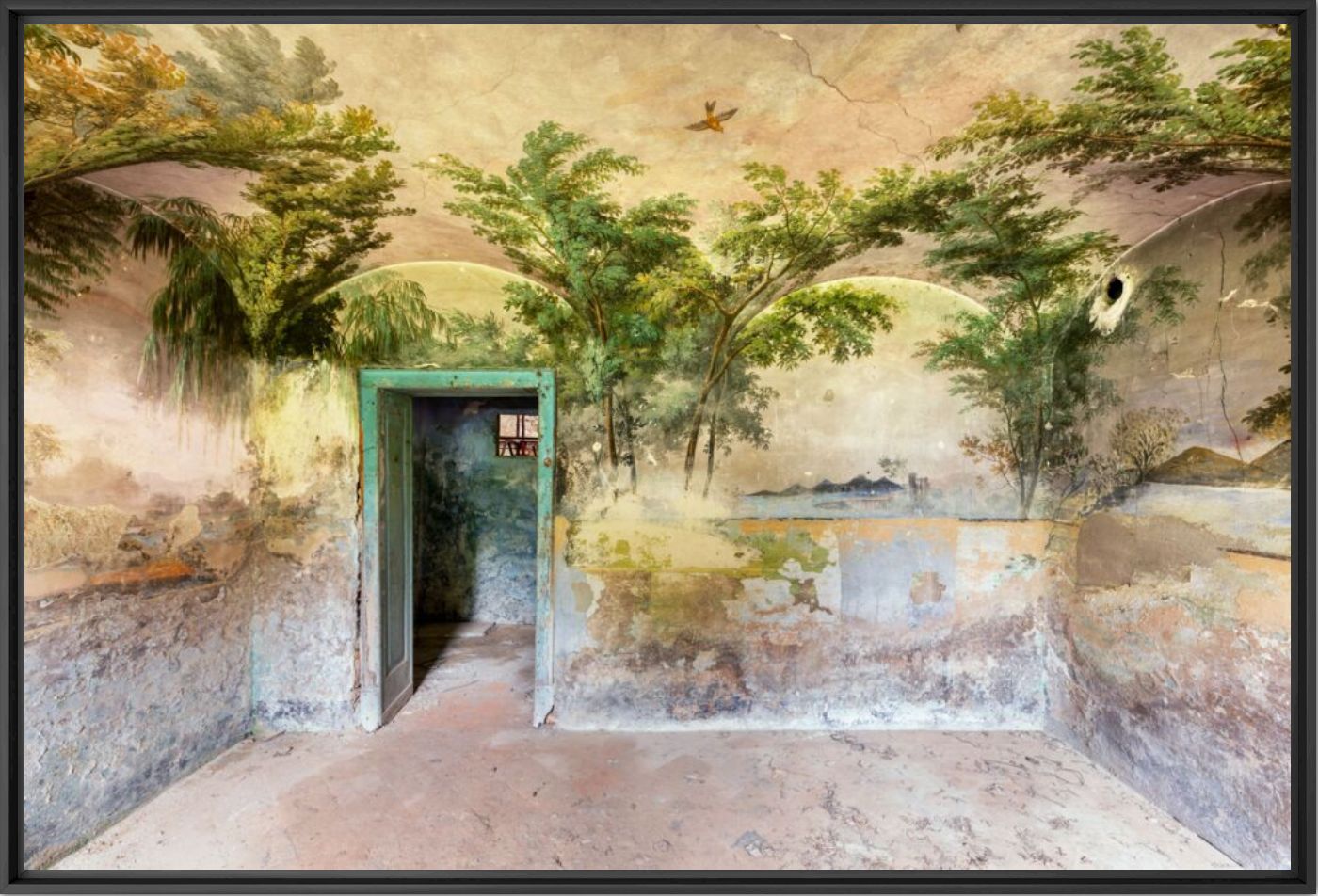 Jardin int&eacute;rieur - AURELIEN VILLETTE - Photograph