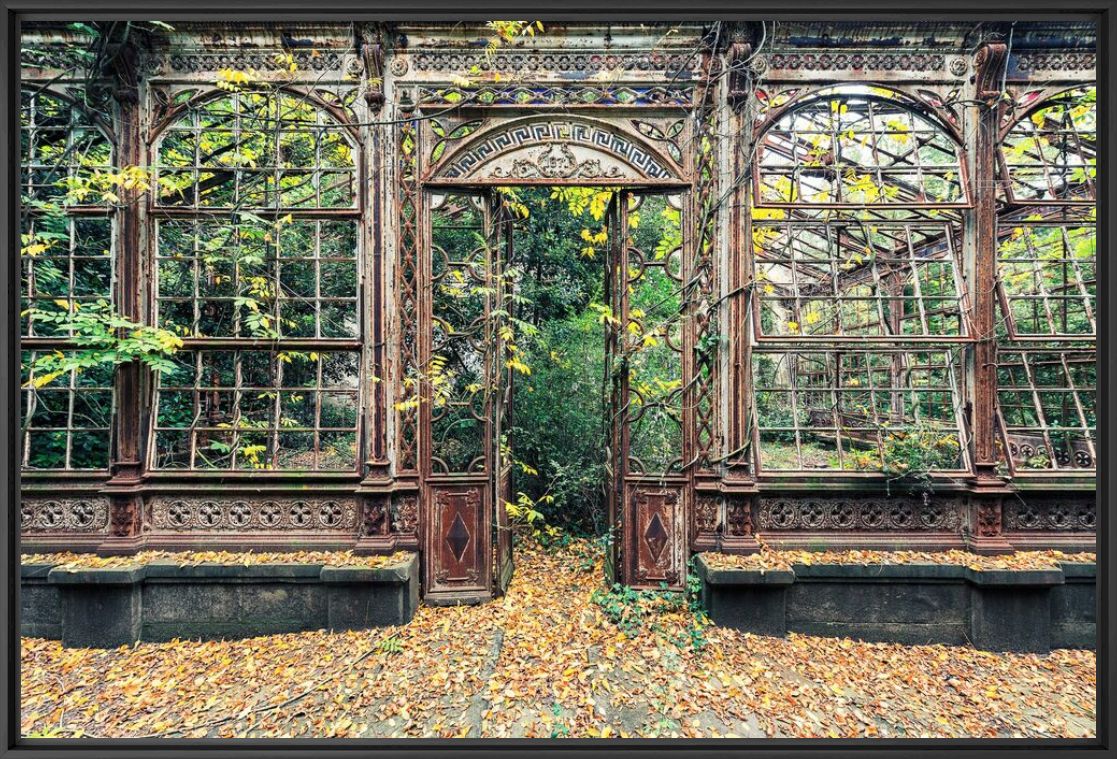 L'arche v&eacute;g&eacute;tale - AURELIEN VILLETTE - Photographie