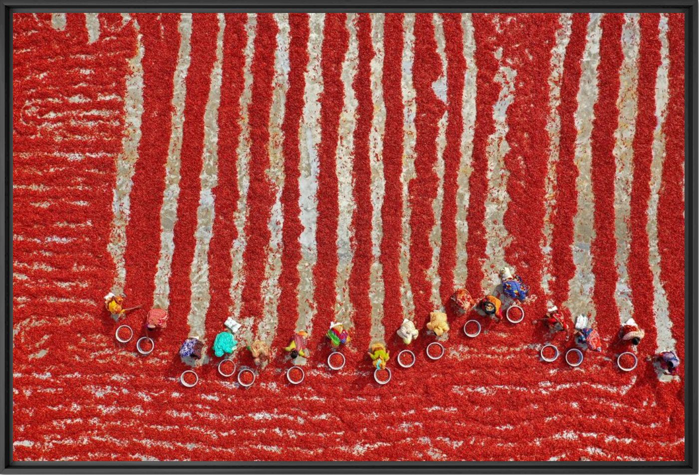 Red chilies 1 - Azim Khan Ronnie - Photograph