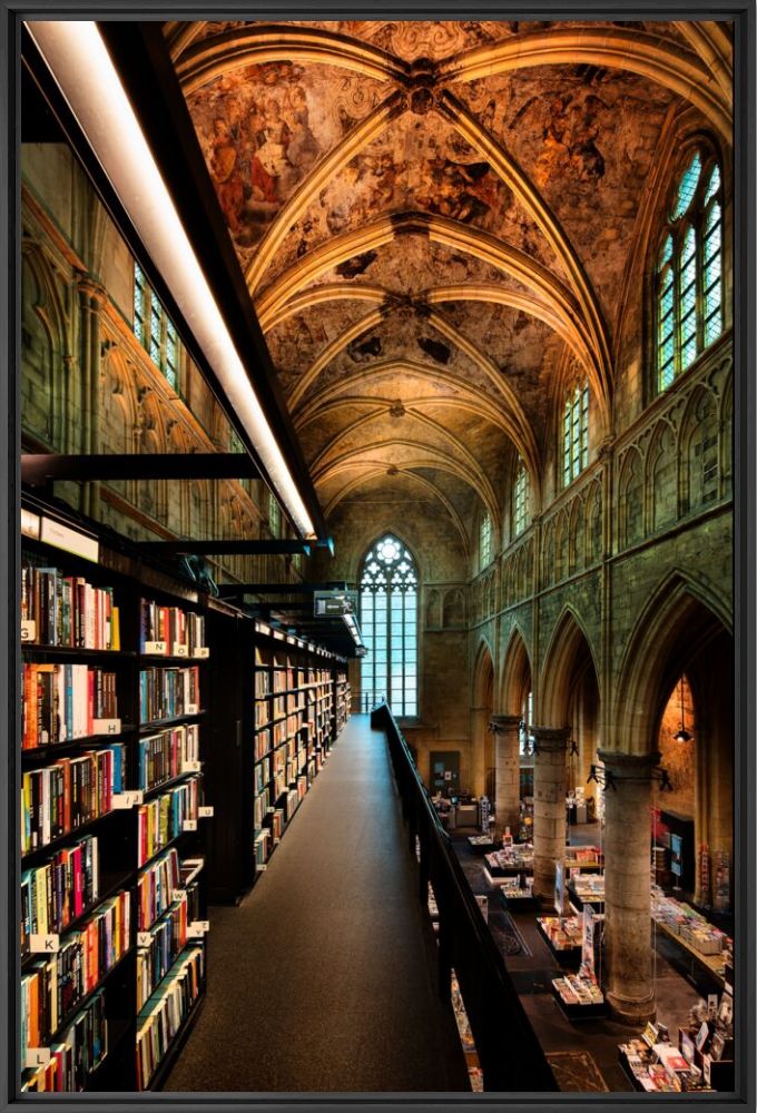 Dome of literature III - BERNHARD HARTMANN - Photograph