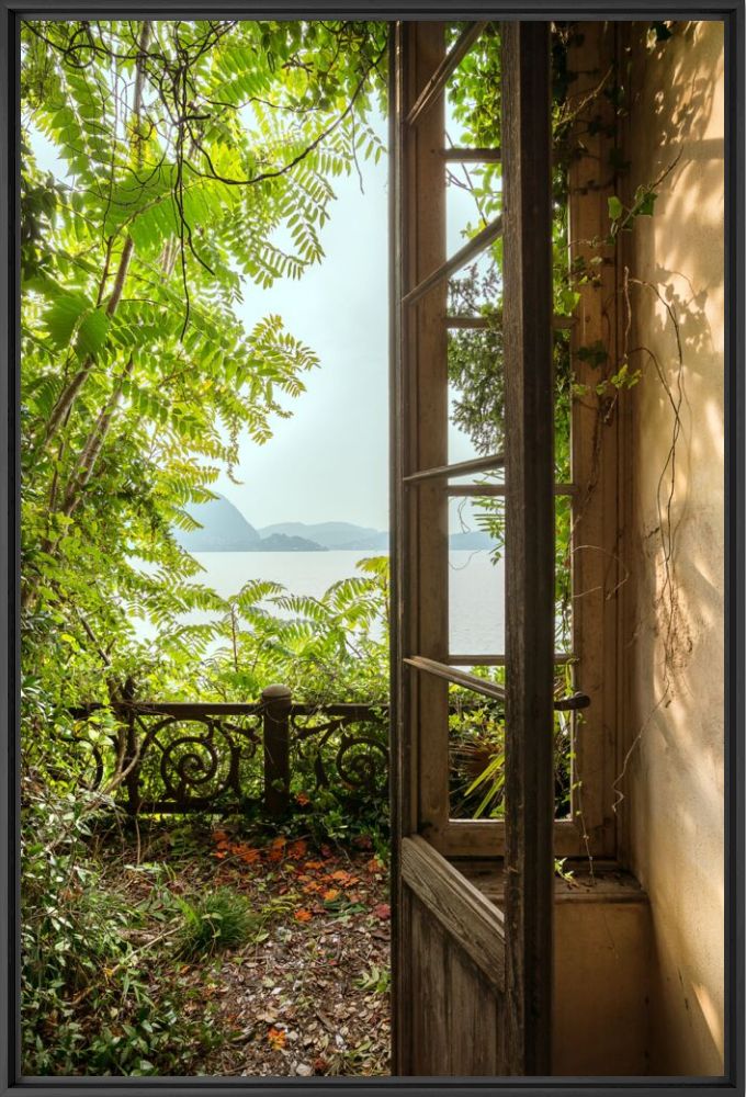 JARDIN OUBLIE IV - BERNHARD HARTMANN - Photographie