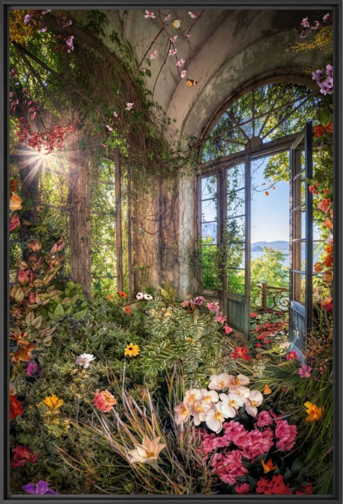 LA ROMANCE DES FLEURS II - BERNHARD HARTMANN - Photographie