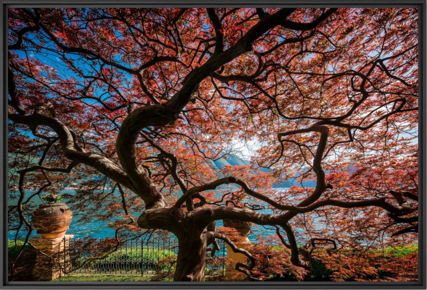 LE JARDIN VILLA CASSINELLA - BERNHARD HARTMANN - Fotografia