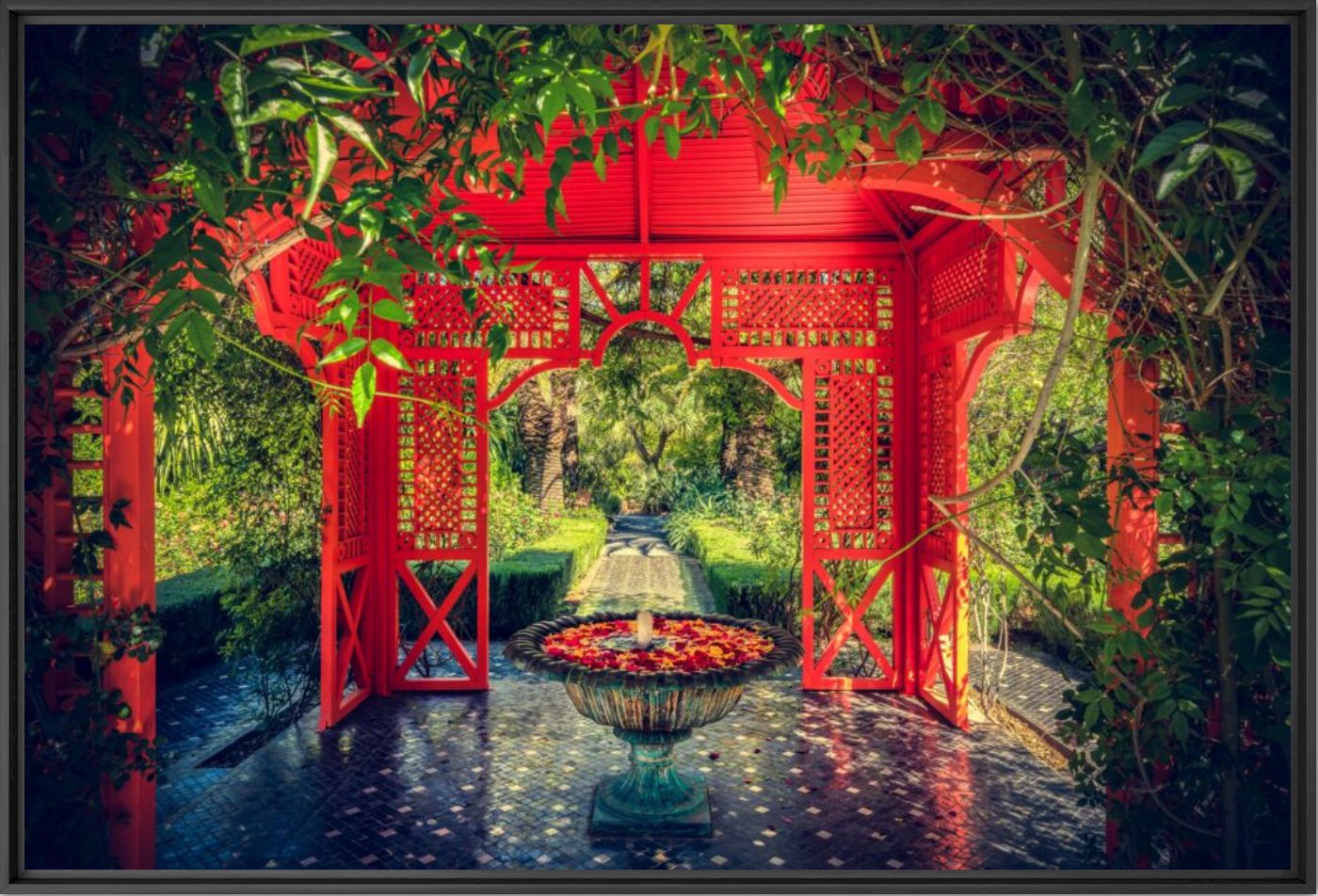 MARRAKECH JARDIN EXOTIQUE - BERNHARD HARTMANN - Photographie
