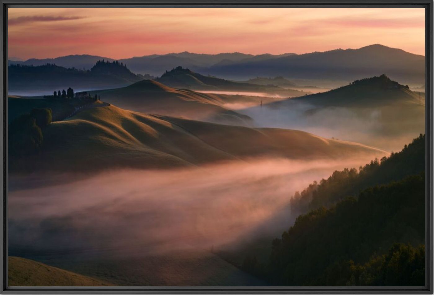 Misty Valley - BERNHARD HARTMANN - Fotograf&iacute;a