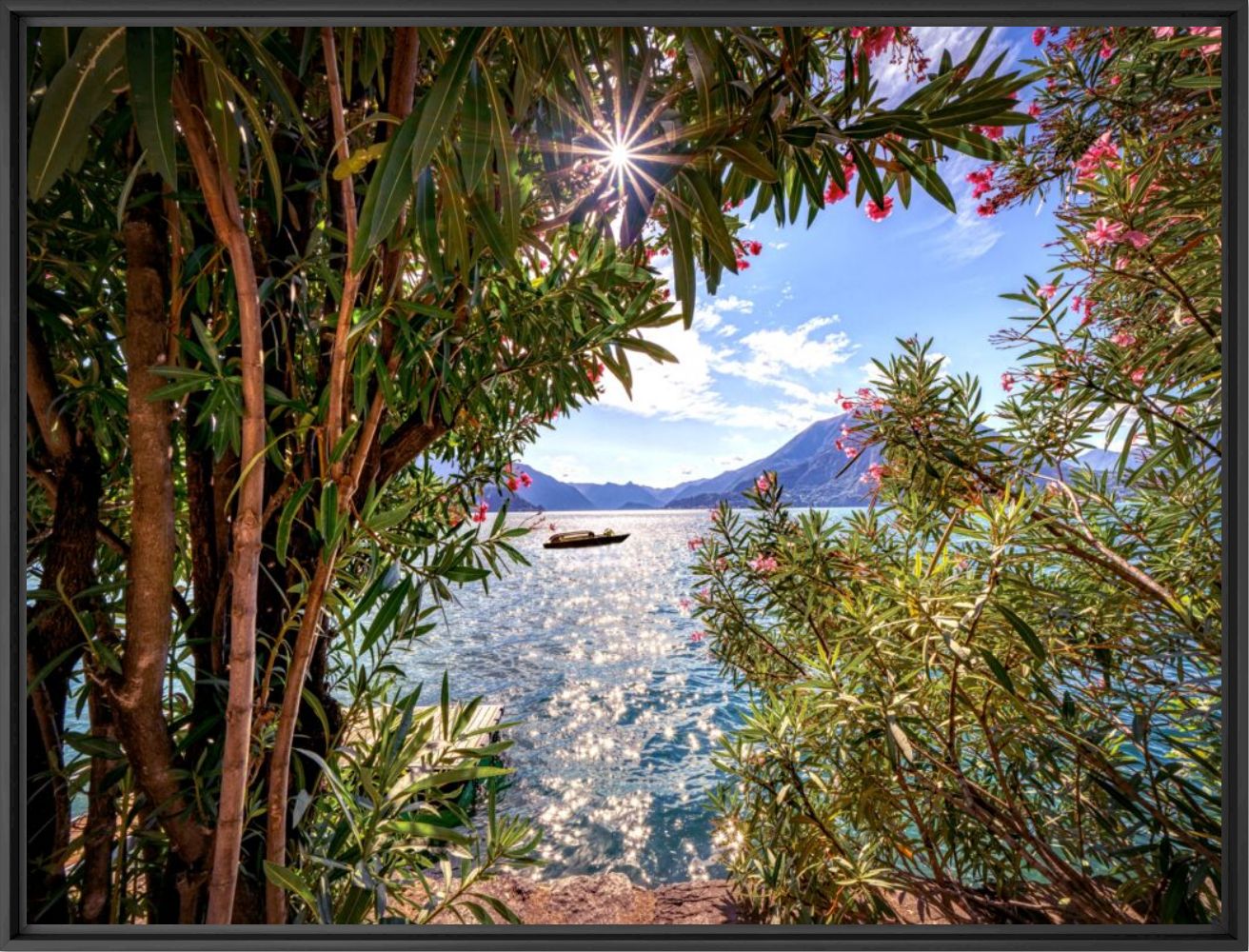 Southern breeze - BERNHARD HARTMANN - Fotografie