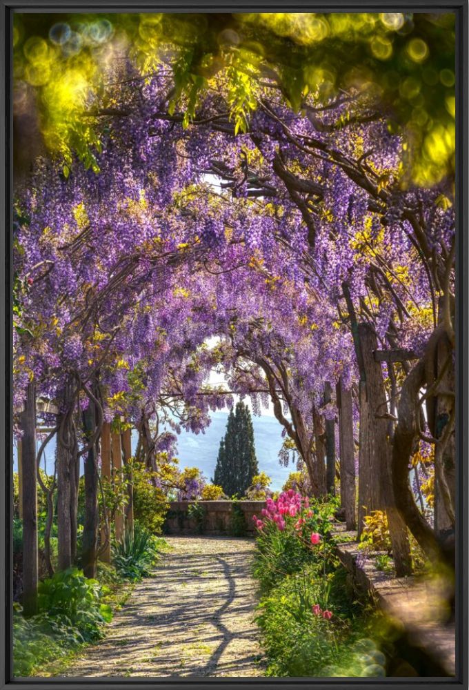 The enchanted garden - BERNHARD HARTMANN - Fotografia