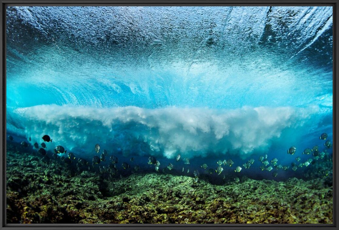 Imagine - BRIAN BIELMANN - Photograph