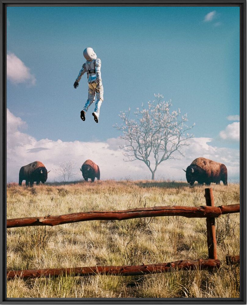 Astro buffalo field - Cameron  Burns - Fotografie