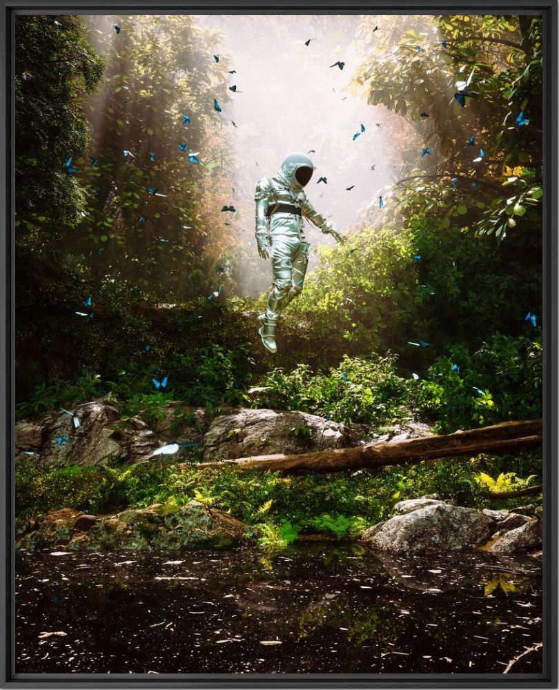 The butterfly project - Cameron  Burns - Fotografie