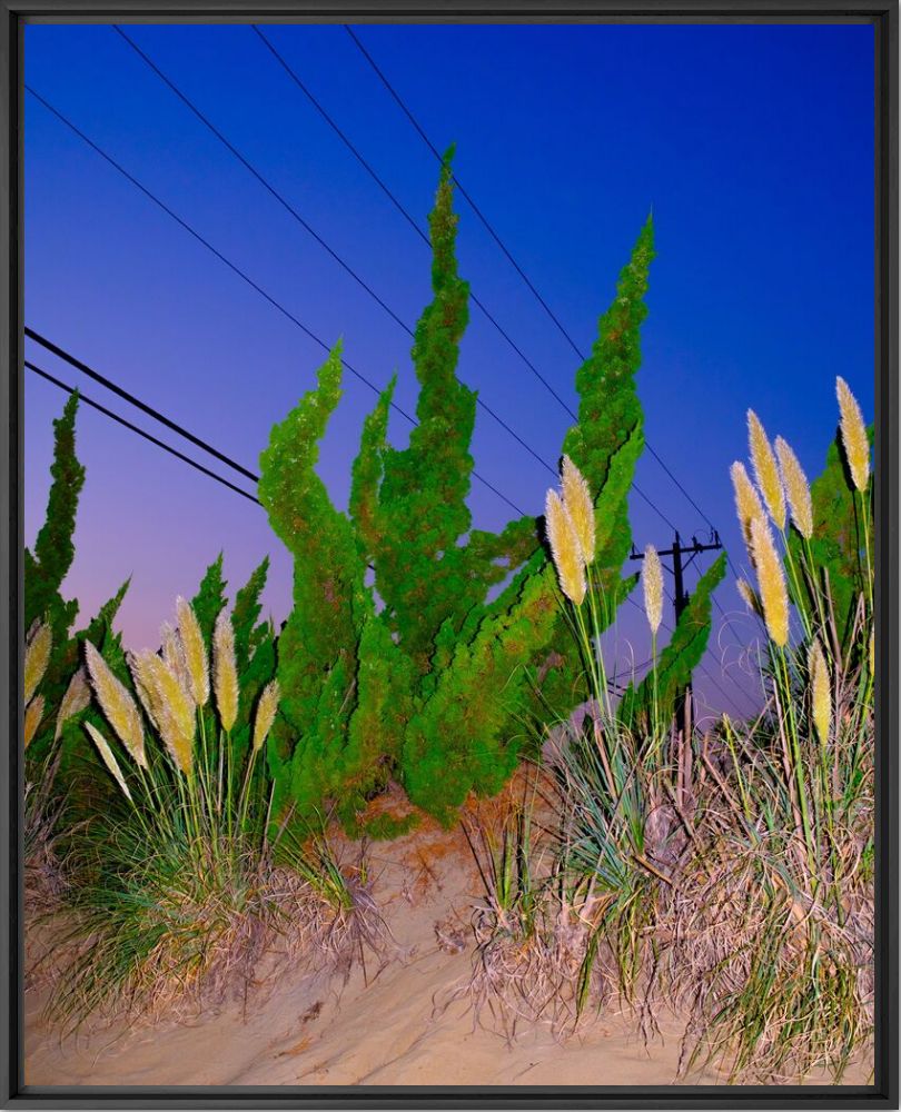 Alternative universe - Charles Duc - Photograph