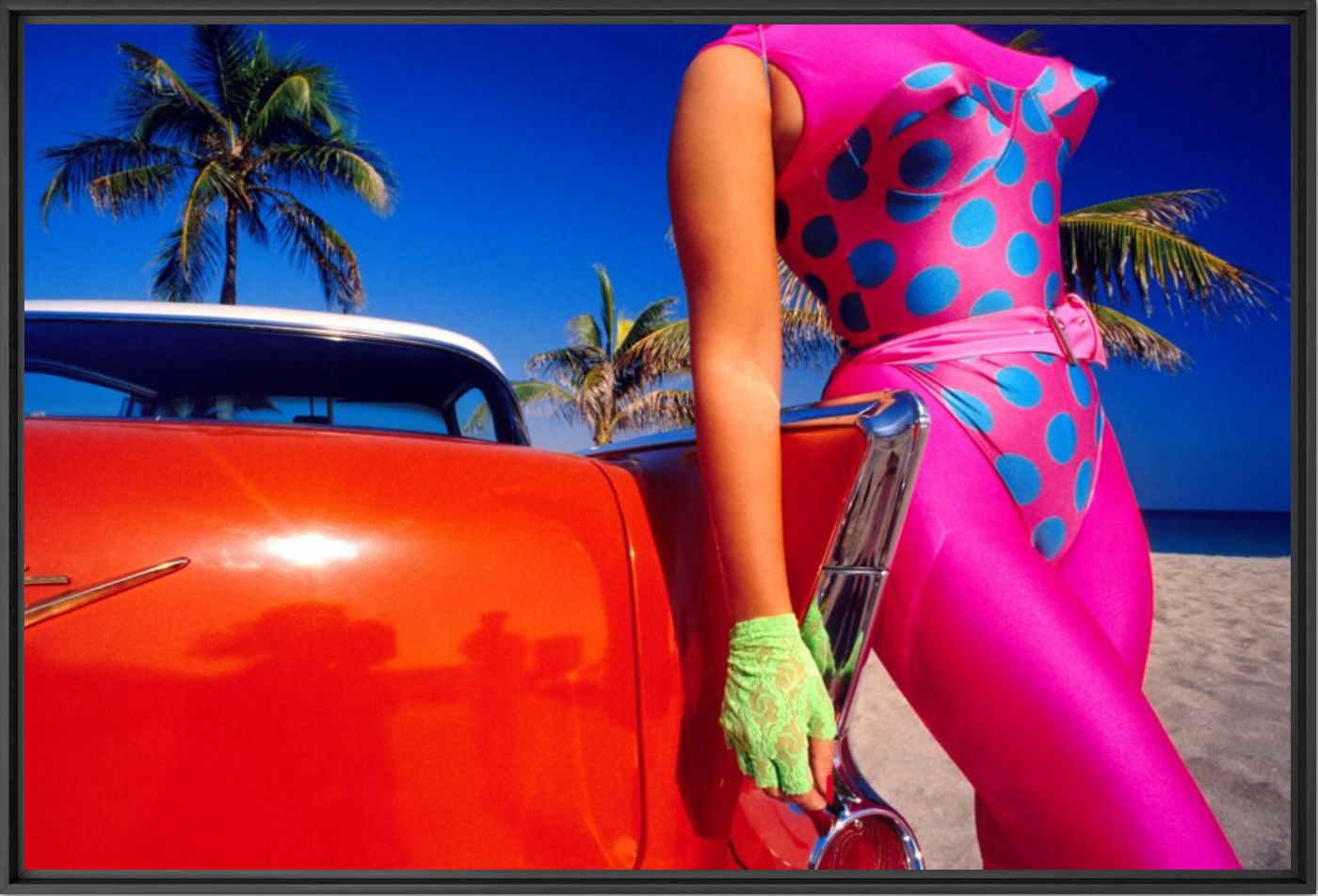 Silicon Lady Hawk - Cheyco Leidmann - Photographie