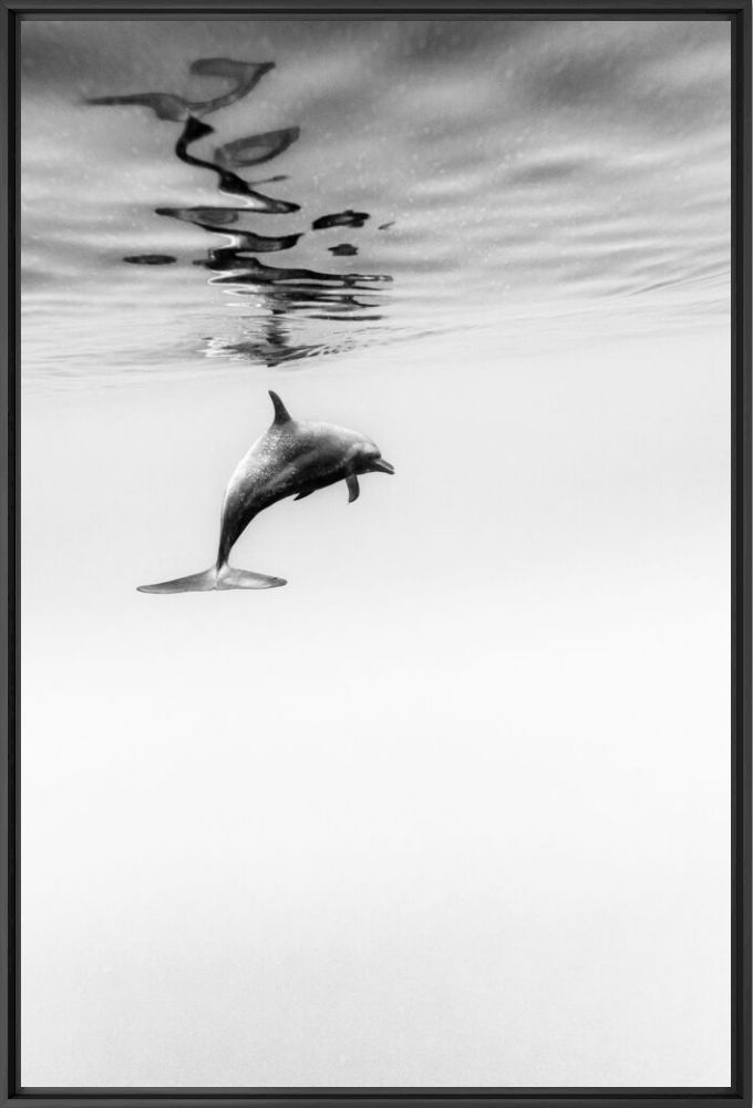 Between two worlds - CHRISTIAN VIZL - Fotograf&iacute;a