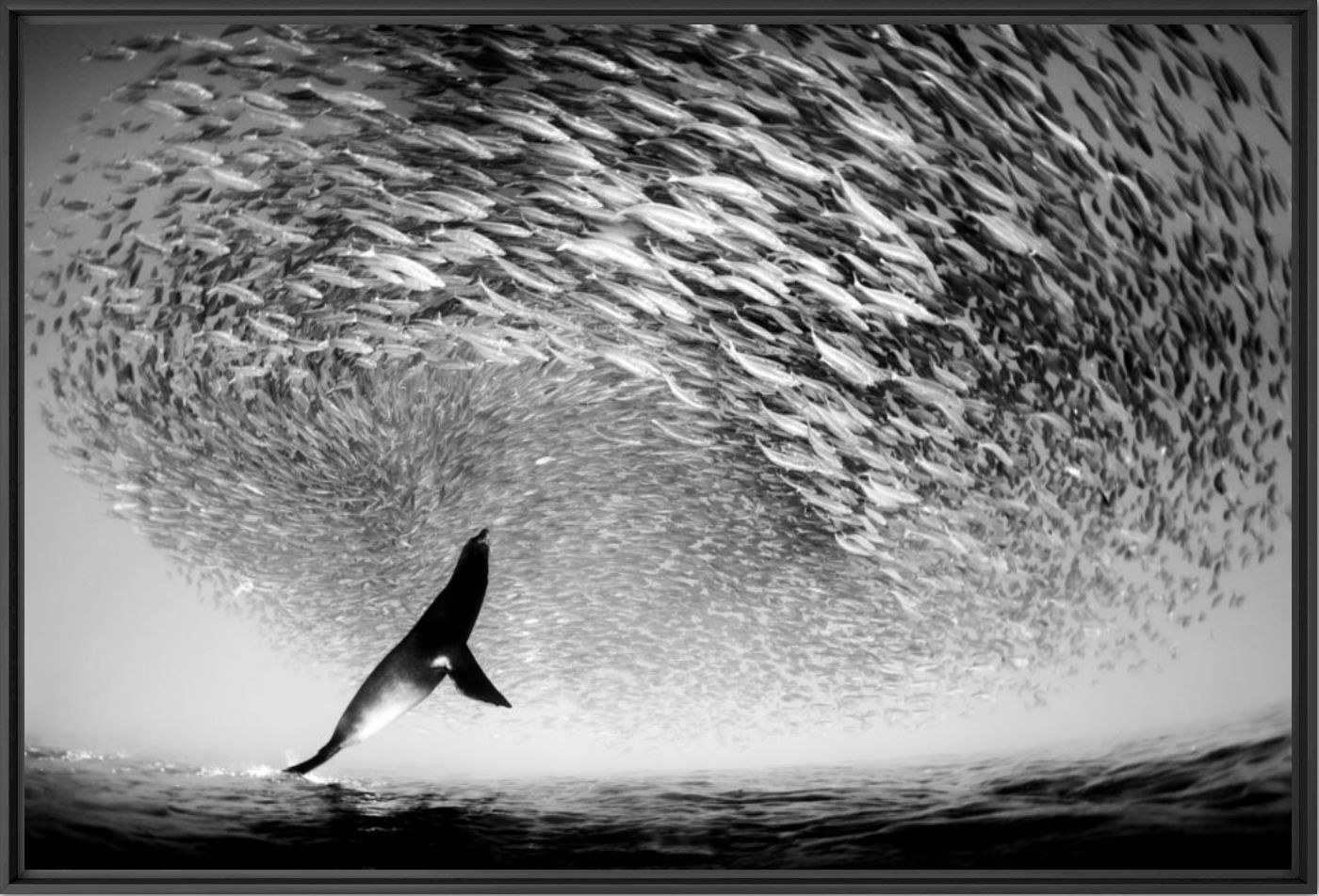 The silver vortex - CHRISTIAN VIZL - Fotograf&iacute;a