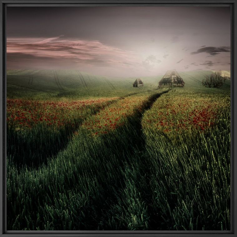 Haus am feld - CHRISTINE ELLGER - Photograph