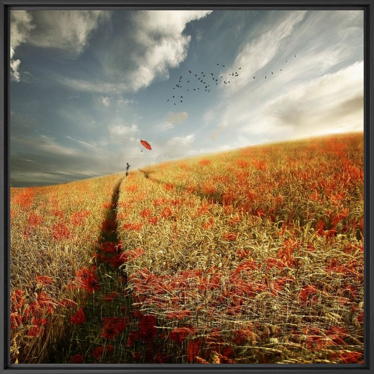 POPPY RED - CHRISTINE ELLGER - Fotograf&iacute;a
