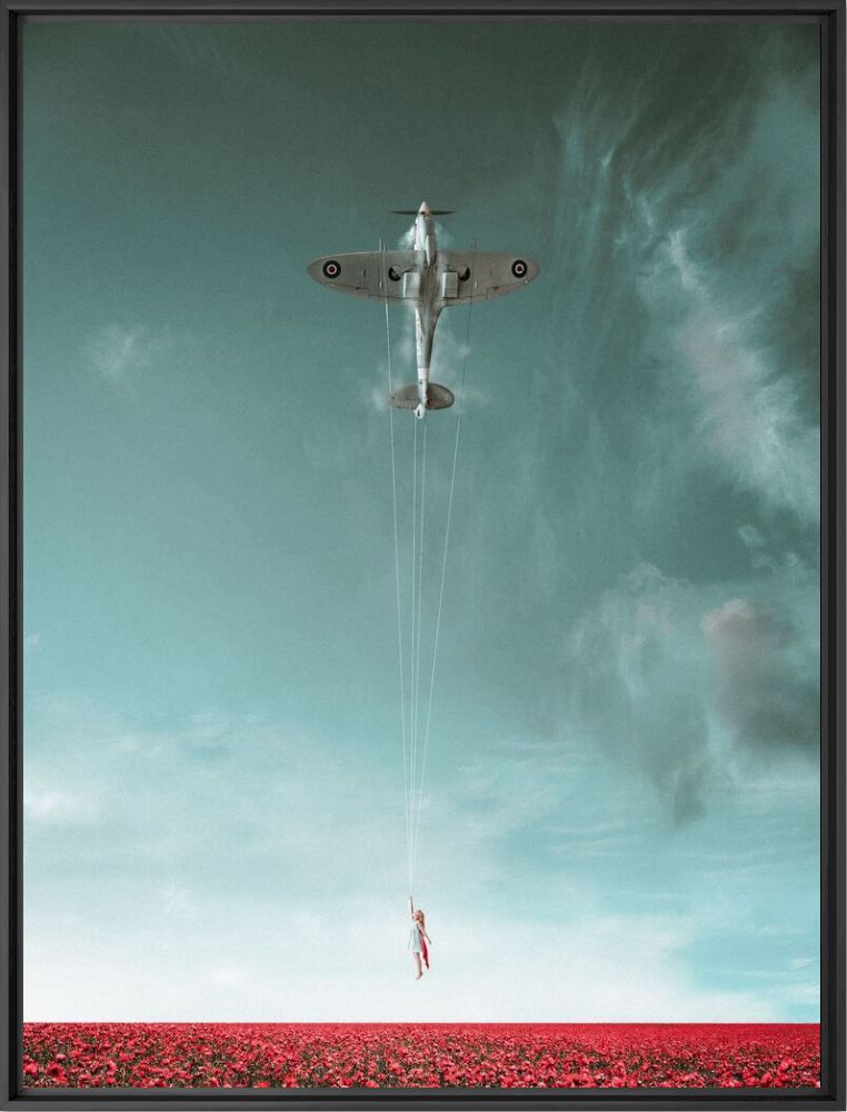 Fly high - Cookaynne  - Photograph