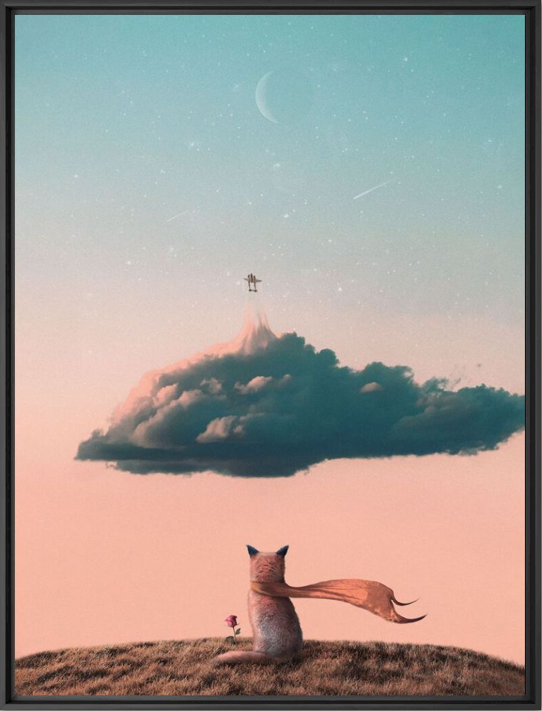 Little prince - Cookaynne  - Photograph
