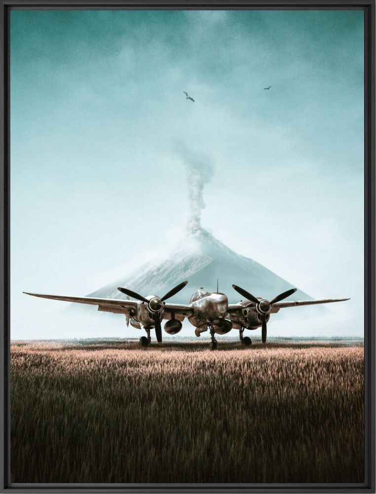 My silver bird - Cookaynne  - Photograph