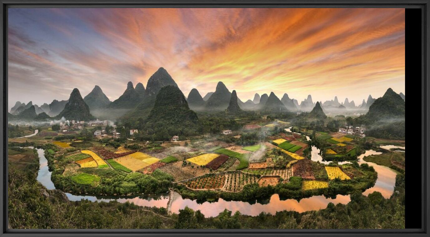 Peaks forest - DANIEL METZ - Photograph