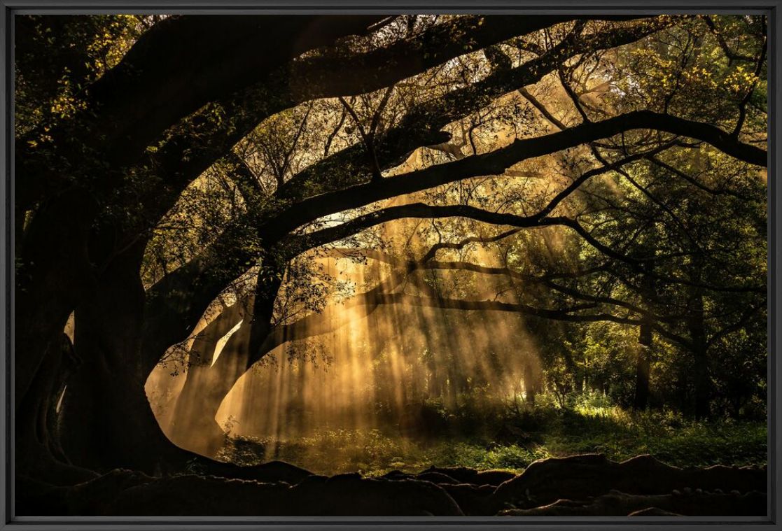 PEACE OF MIND - ESTEBAN TORO - Fotografia